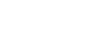 SilvSI - dedykowane systemy informatyczne